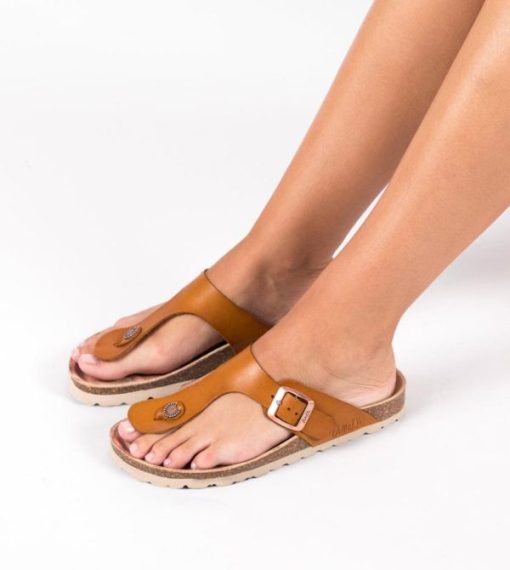 Rawtrend.shopfb72f79c8a 2